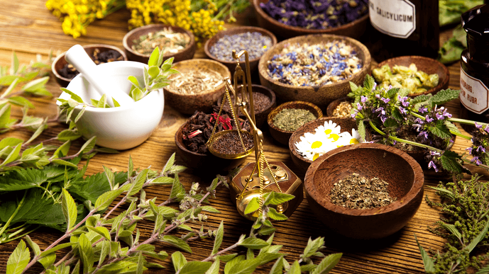 5 Ayurvedic Herbs