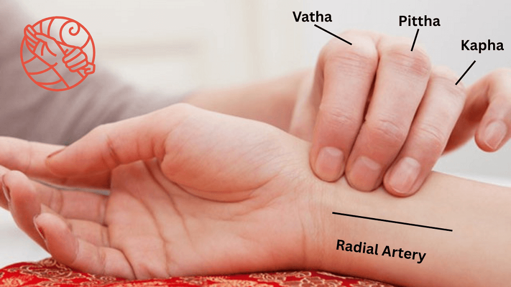 Ayurvedic Doctor Checking Vata, Pitta, Dosha